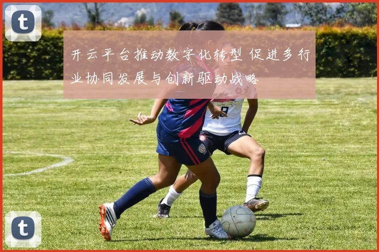 开云平台推动数字化转型 促进多行业协同发展与创新驱动战略