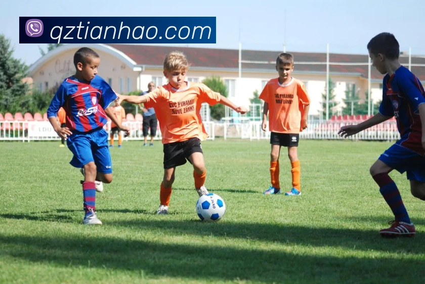 多媒体互动体验